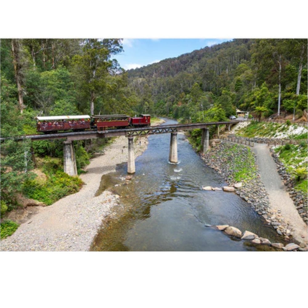 Lotje McDonald 1000 Piece Jigsaw Puzzle – Walhalla Historic Train