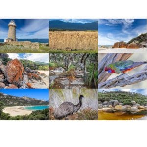 Lotje McDonald 1000 Piece Jigsaw Puzzle – Wilsons Promontory