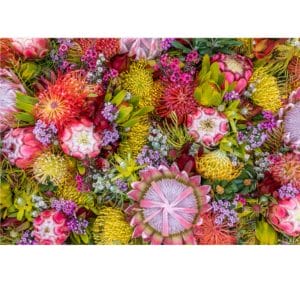 Lotje McDonald 260 Piece Jigsaw Puzzle – Australian Summer Wildflowers