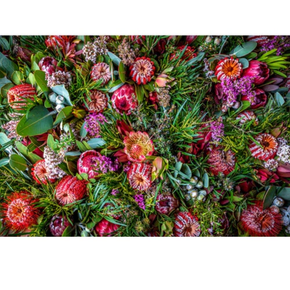 Lotje McDonald 500 Piece Large-Format Jigsaw Puzzle – Australian Native Autumn Flowers