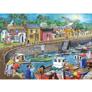 House of Puzzles Seagull View – 250 Piece Large Format Jigsaw Puzzle