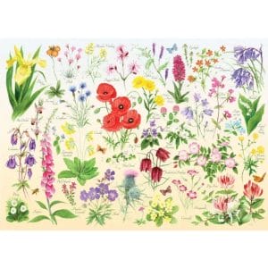 House of Puzzles Wildflowers – 1000 Piece Jigsaw Puzzle