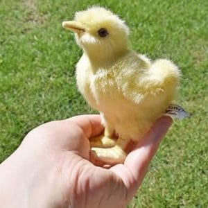 Hansa – Soft Toy – Chick