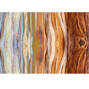Lotje McDonald 1000 Piece Jigsaw Puzzle – Gum Bark Challenge