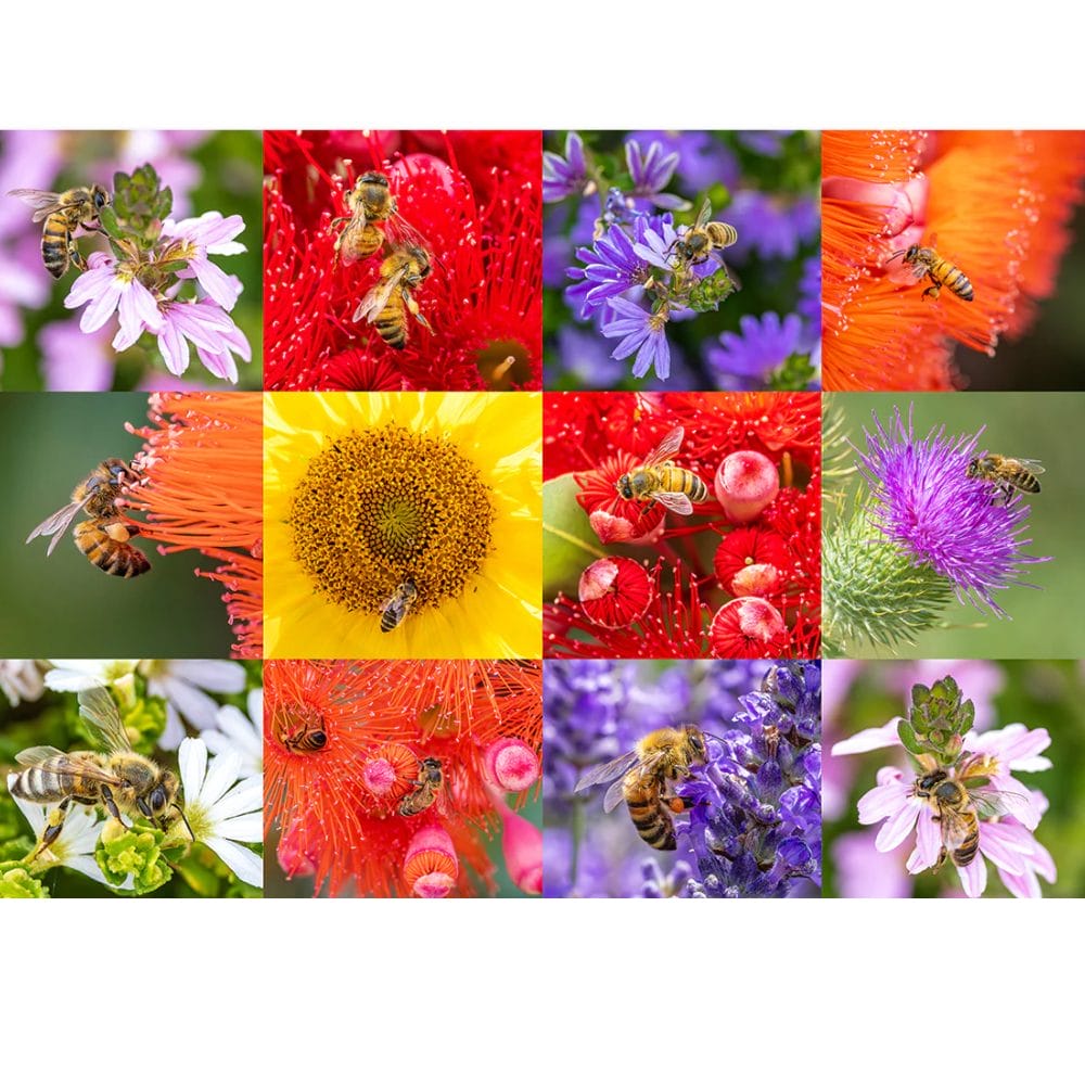 Lotje McDonald 500 XL Piece Jigsaw Puzzle – Busy Bees