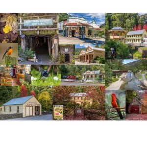 Lotje McDonald 1000 Piece Jigsaw Puzzle – 1862 Walhalla Township