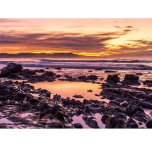 xLotje McDonald 1000 Piece Jigsaw Puzzle – Mallacoota