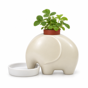 White Elephant Planter with Wild Strawberry